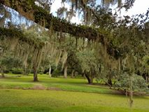 14233233_1093969604018759_6485144852334425743_n