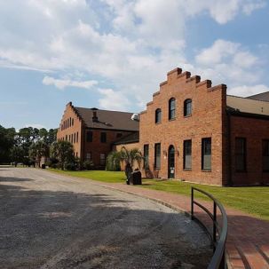 14237726_1093918170690569_467341937251549370_n