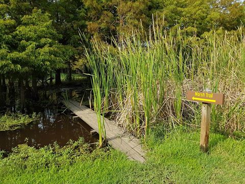 14238336_1093951507353902_4840638733217006925_n