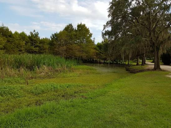 14291841_1094190217330031_2060110106438505003_n