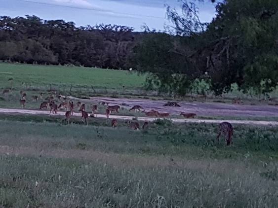 14316932_1095925607156492_7502931367733872184_n