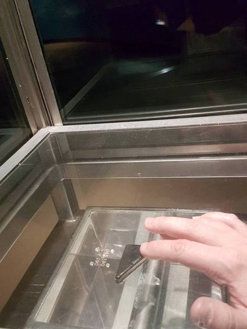 14333087_1095631193852600_7908700295058413482_n